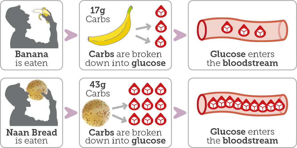 Graphic showing person eating a banana; 17g of carbs from banana is broken down to glucose; small amount of glucose enters the bloodstream

Naanbread is eaten, 43g of carbs is broken down into glucose; larger portion of glucose enters the bloodstream