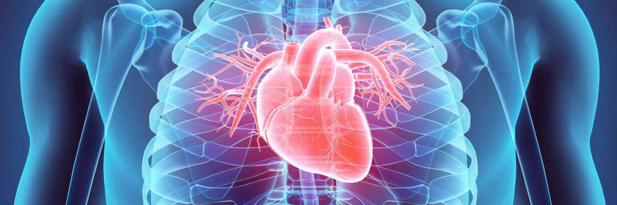 How does diabetes affect my heart?